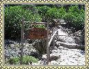 wp012e7c1b.jpg