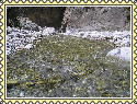 wp65ed85eb.jpg