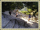 Les premières marches de l'escalier de bois