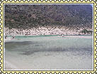 Balos